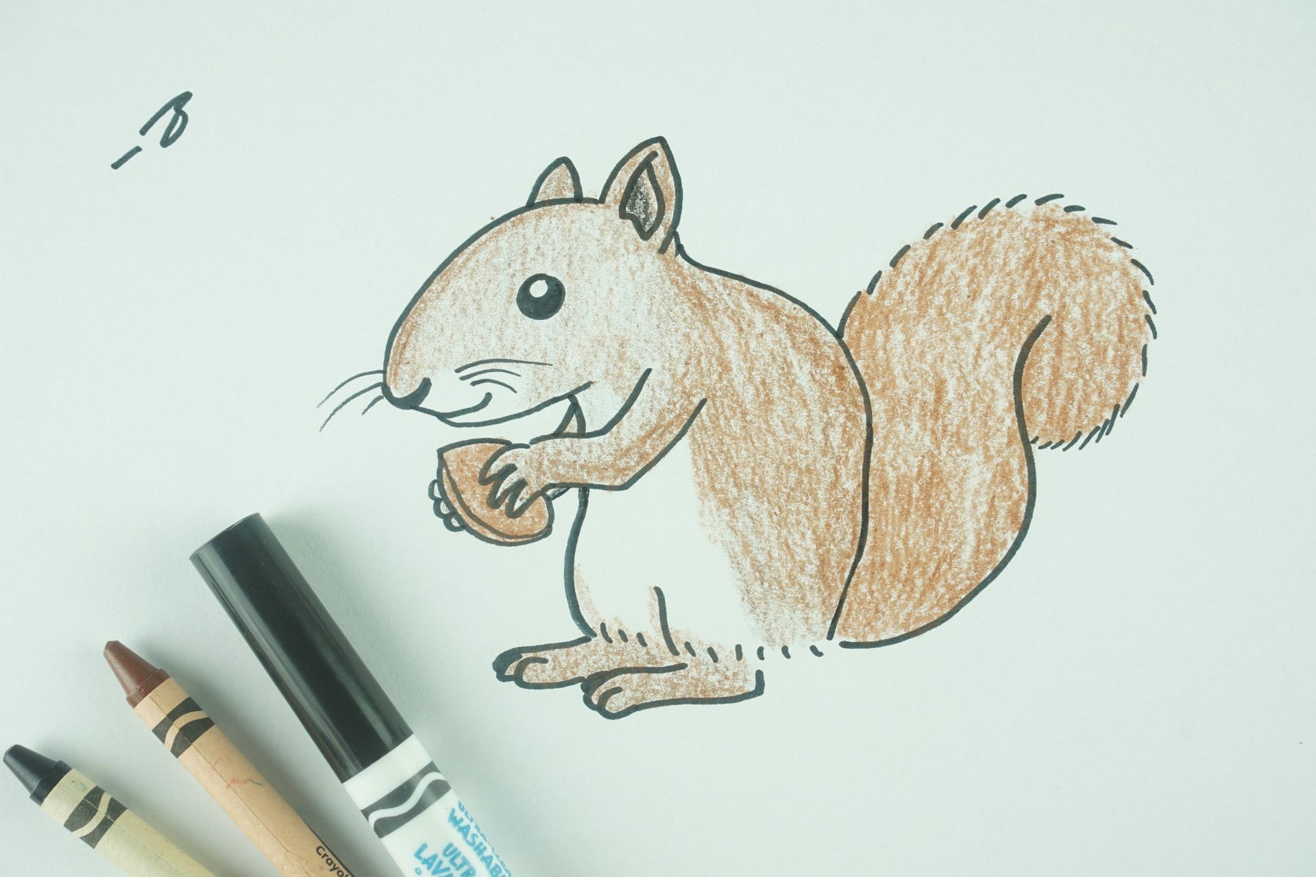 ️ How to Draw: A Squirrel