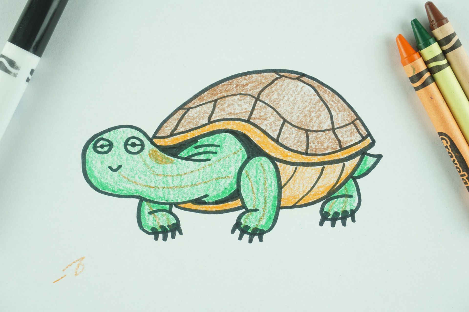 ️ How to Draw: A Turtle