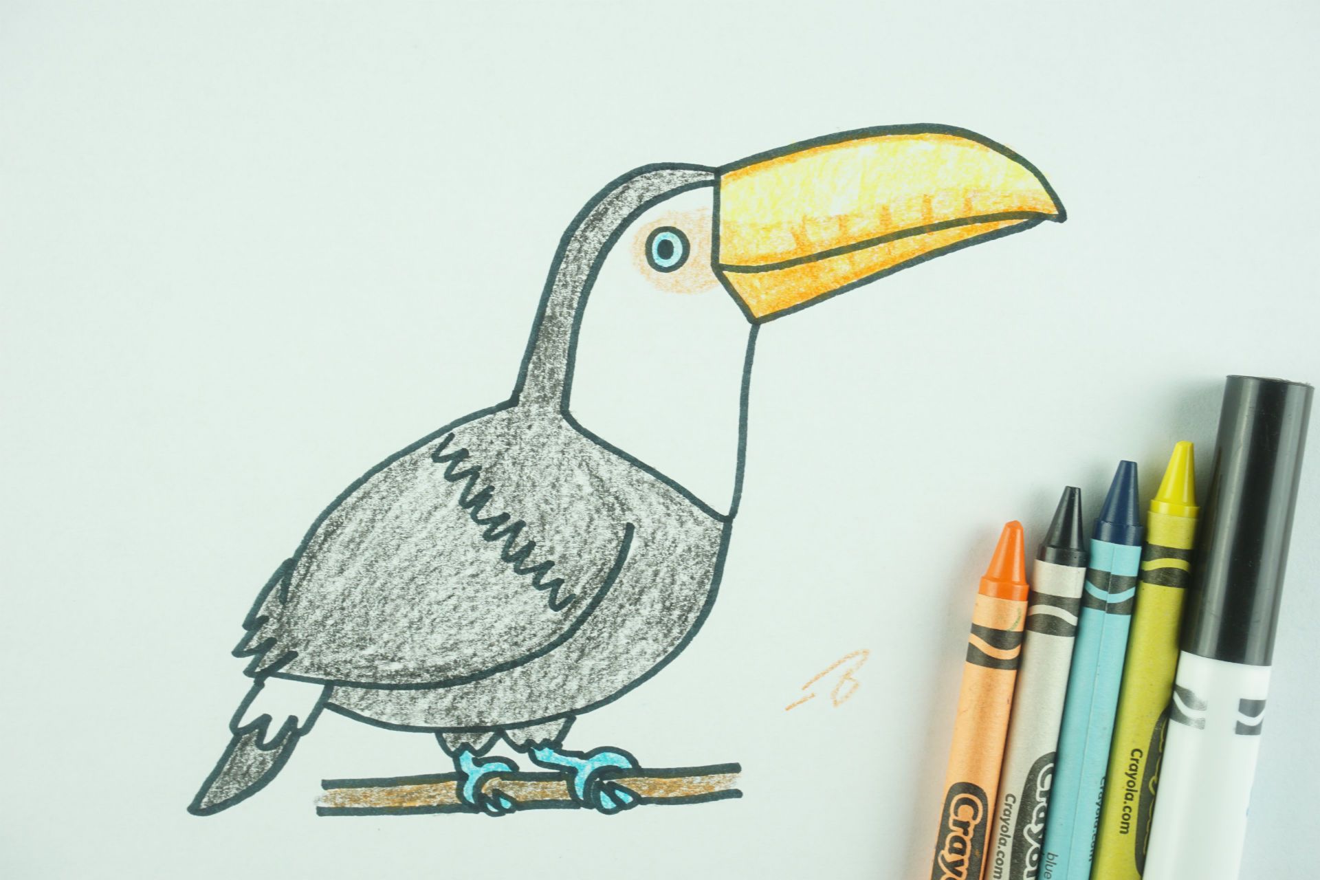 How to Draw a Toucan - drawing lesson by Da Vinci Eye App