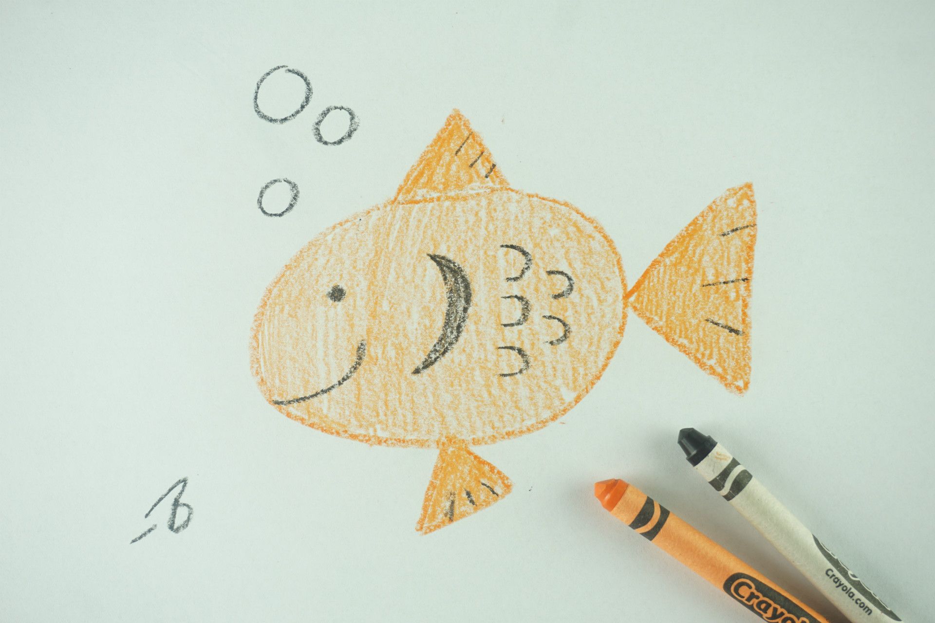 🖍️ How to Draw: A Goldfish