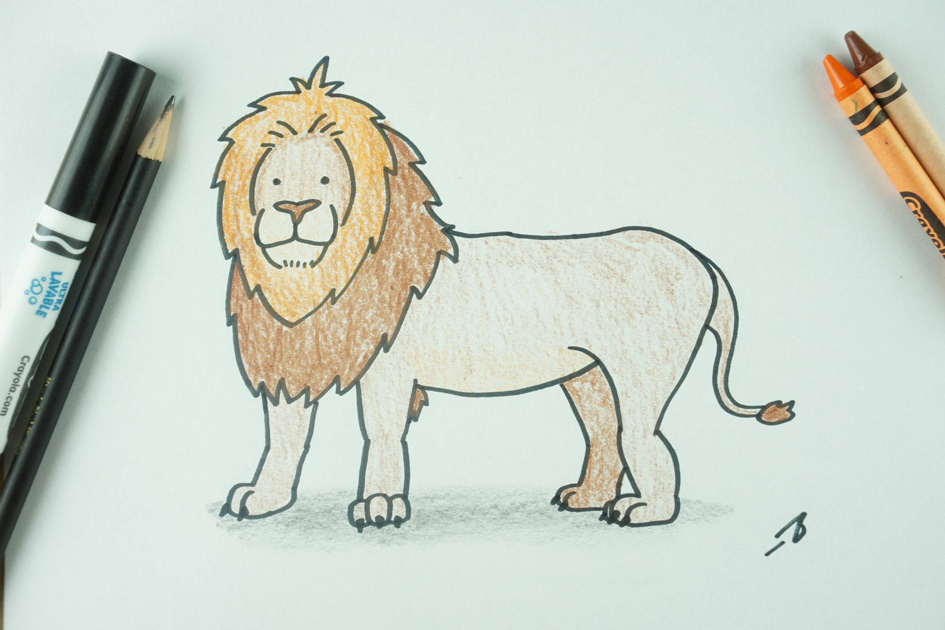 ✏️ How to Draw: A Lion