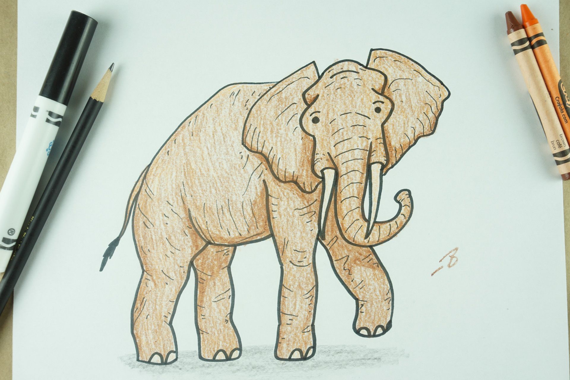 ✏️ How to Draw: An Elephant