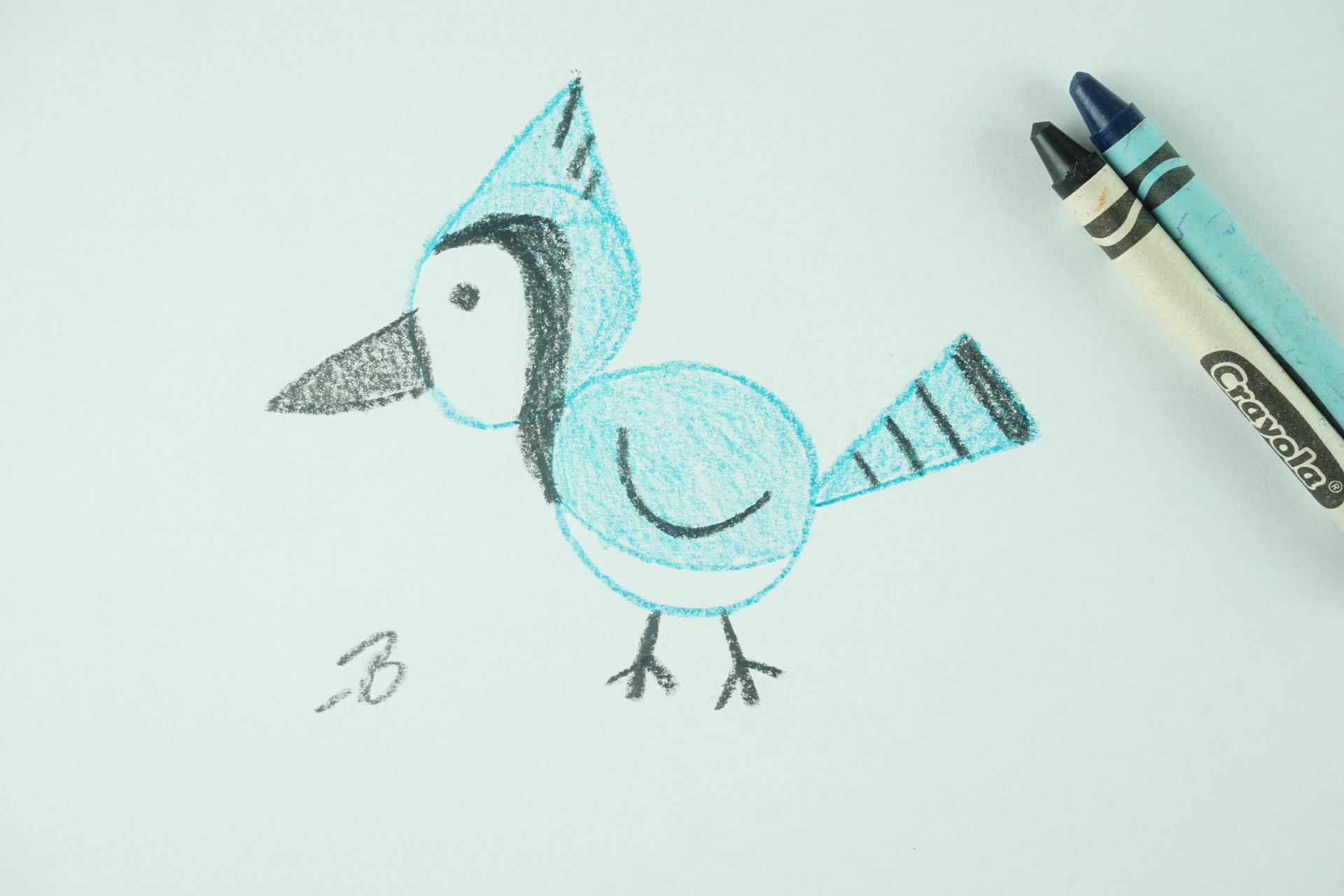 🖍️ How to Draw: A Blue Jay