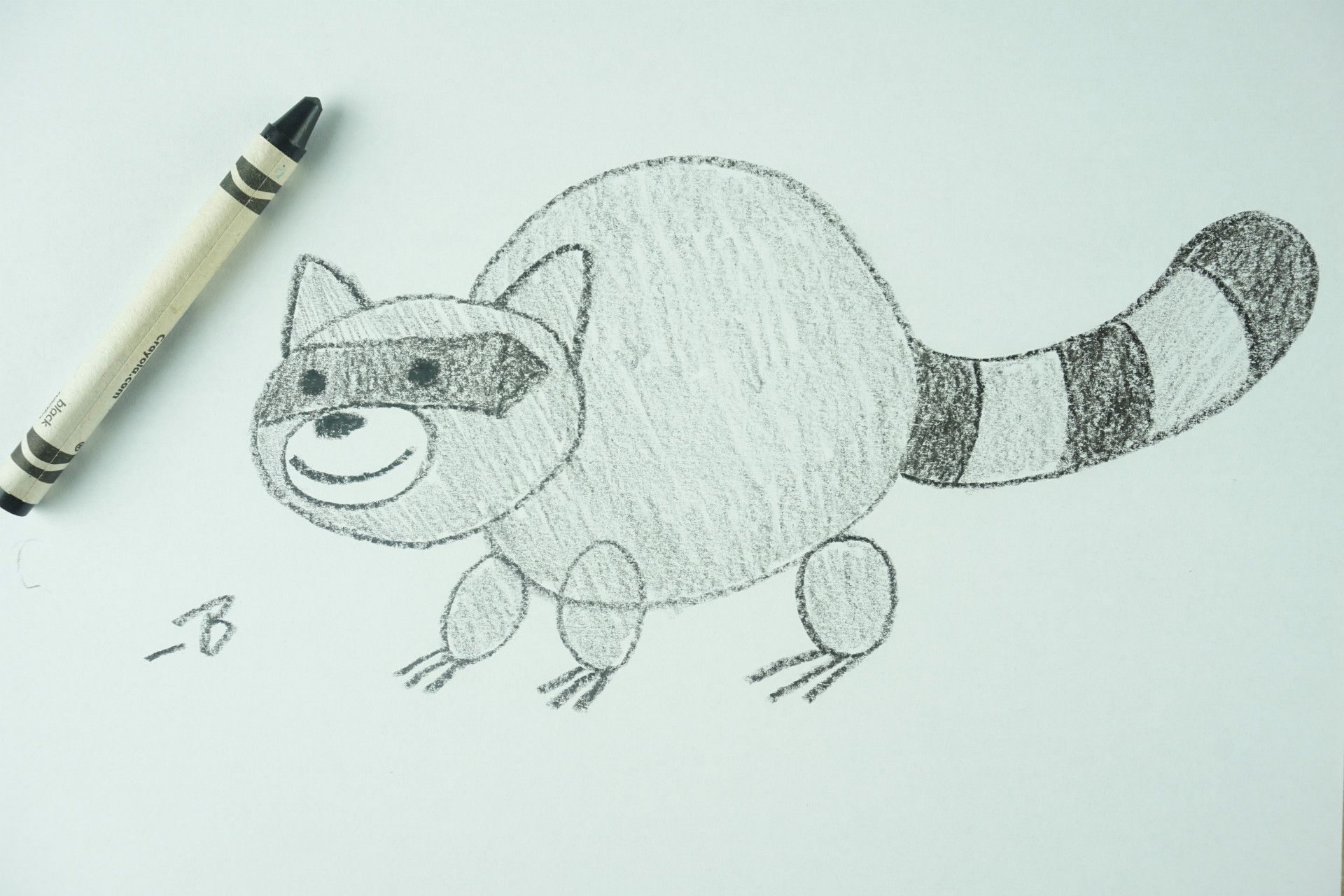 🖍️ How to Draw: A Raccoon