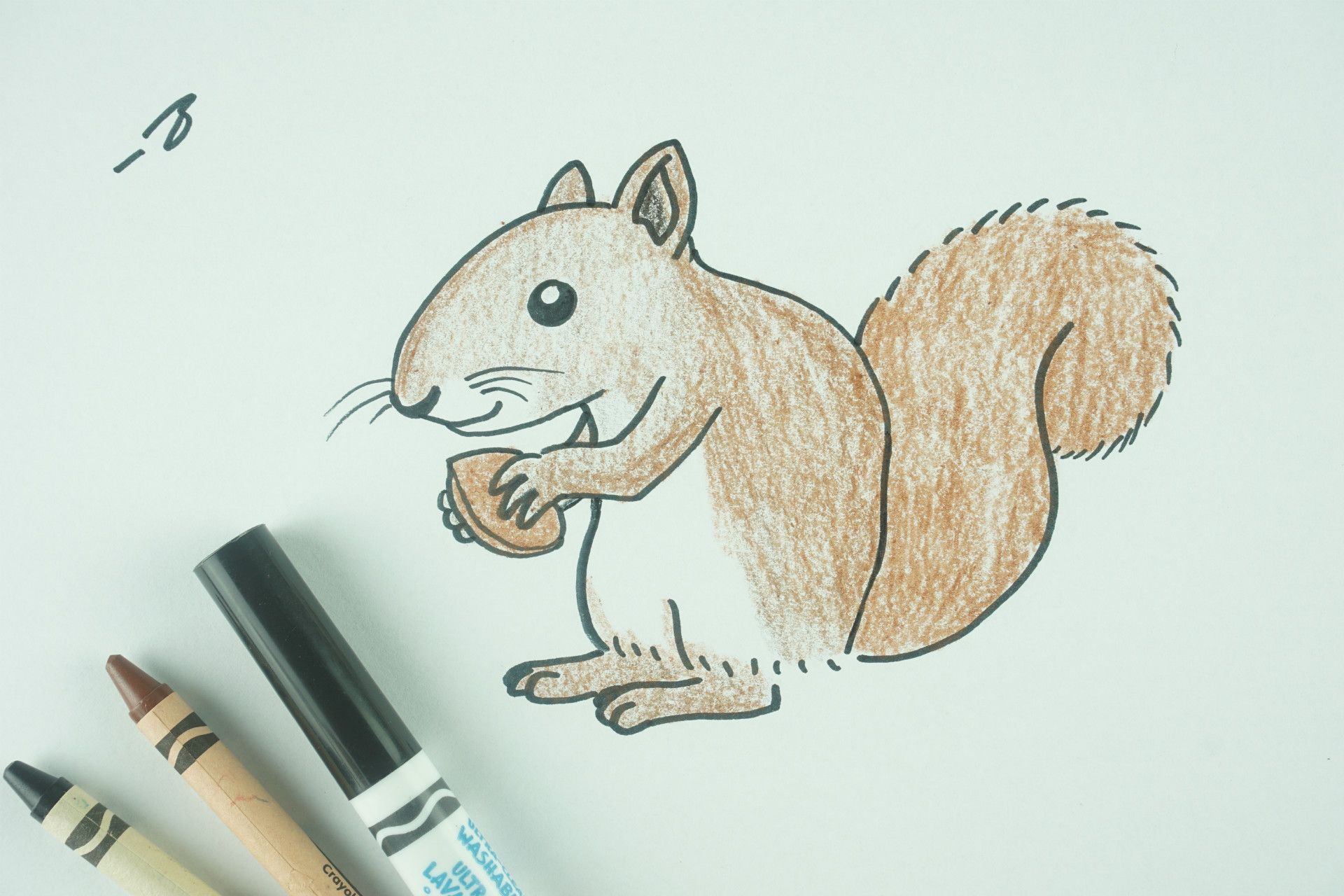✒️ How to Draw: A Squirrel