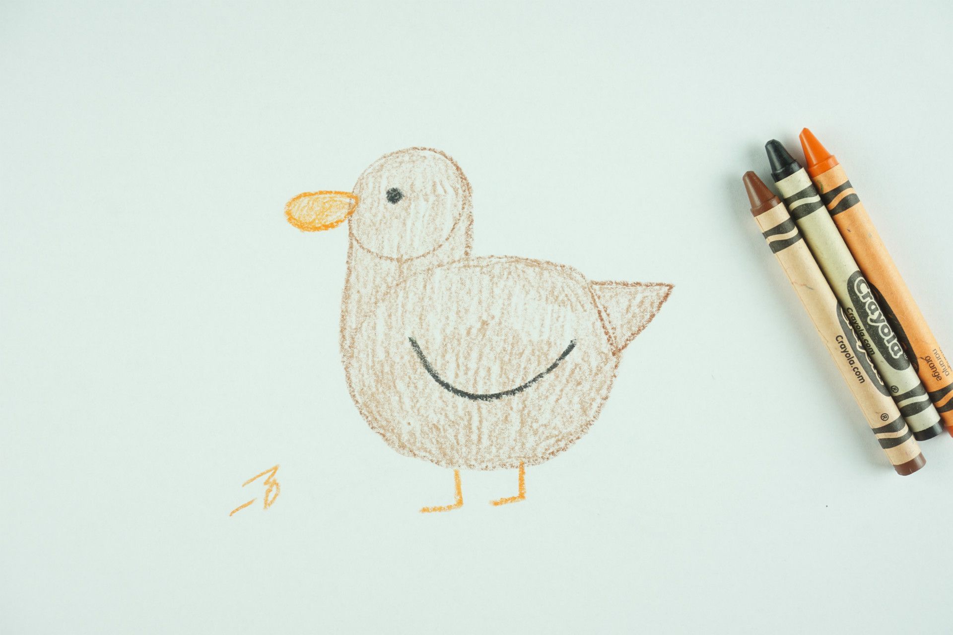 🖍️ How to Draw: A Duck