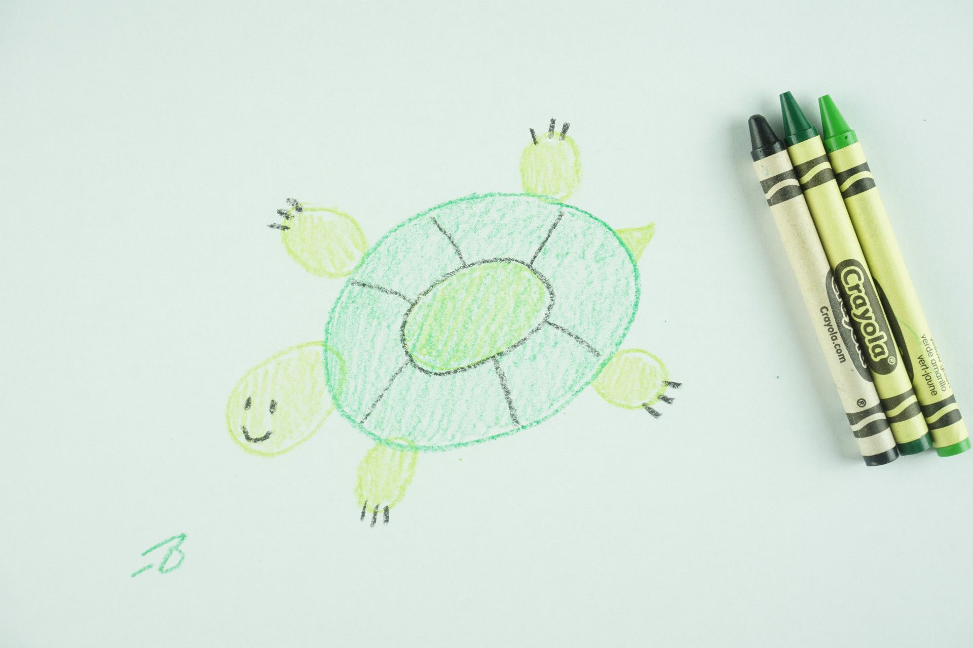 🖍️ How to Draw: A Turtle