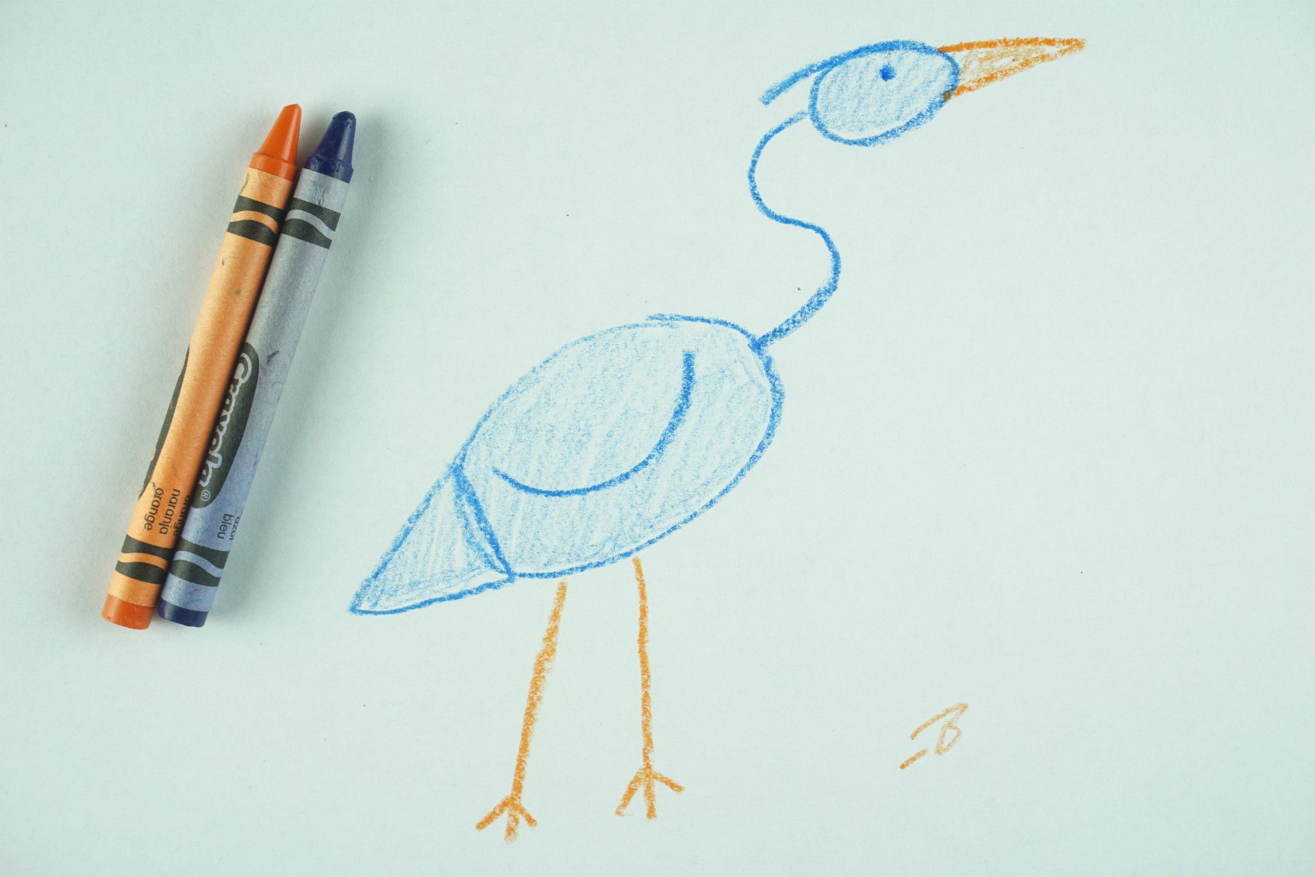 🖍️ How to Draw: A Heron