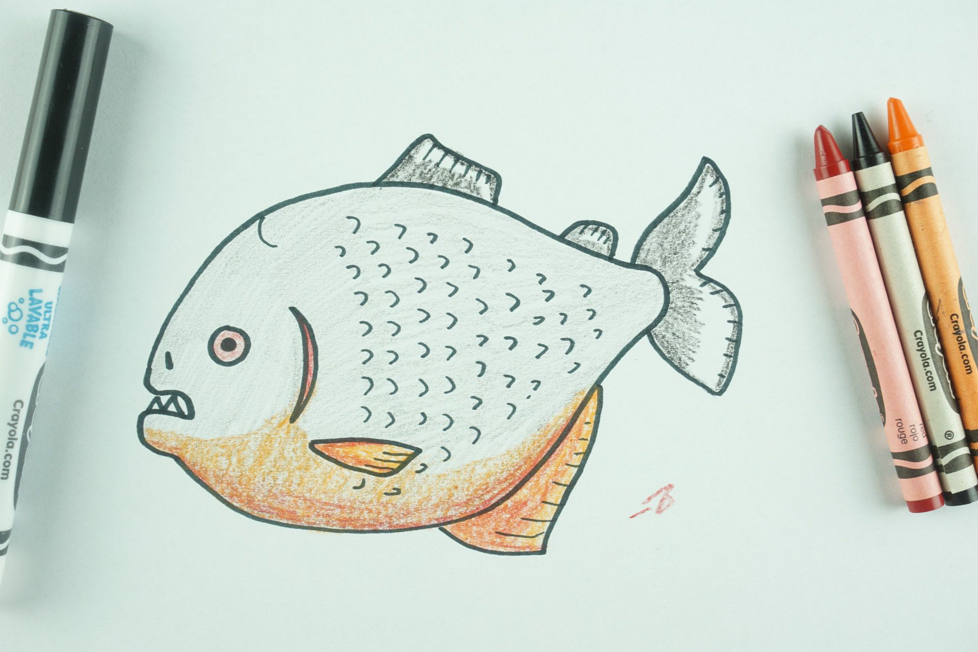 ✒️ How to Draw: A Piranha