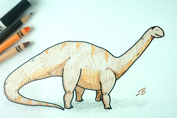 ✏️ How to Draw: Apatosaurus