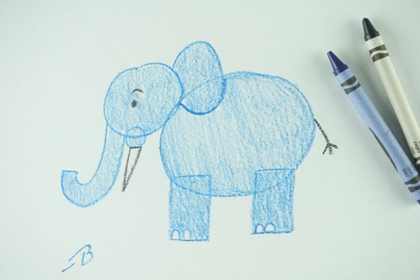 🖍️ How to Draw: An Elephant