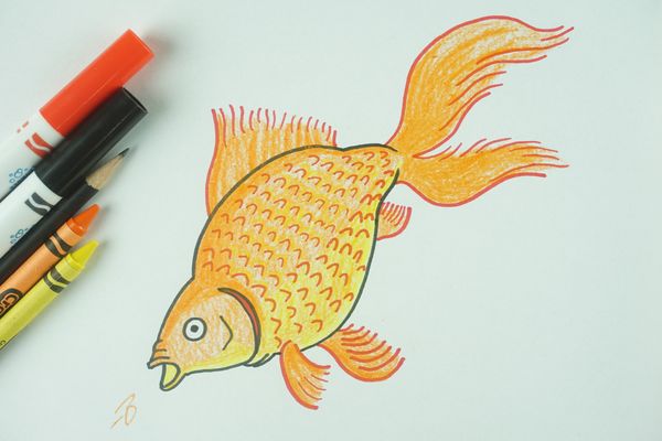 ✏️ How to Draw: A Goldfish