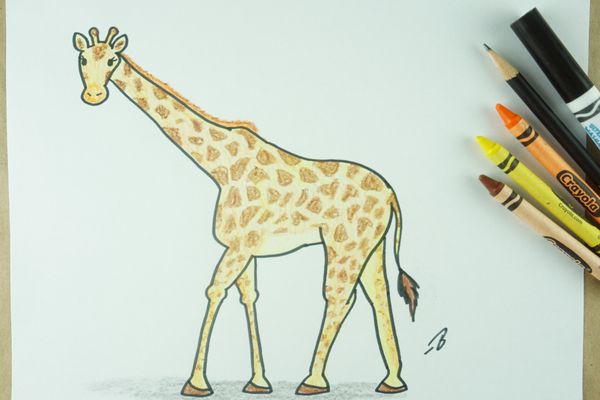 ✏️ How to Draw: A Giraffe