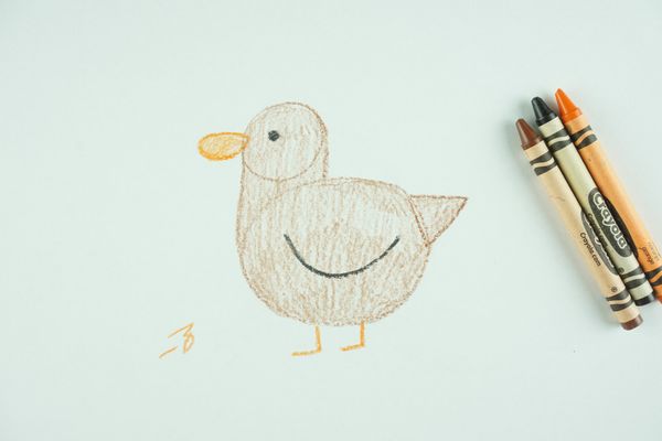 🖍️ How to Draw: A Duck