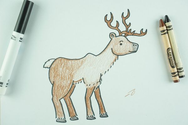 ✒️ How to Draw: A Reindeer